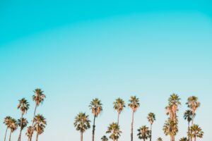 Photo dream interpretation