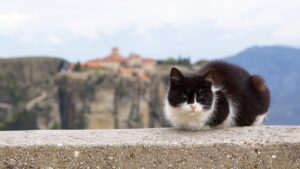 Photo Greece: Meteora