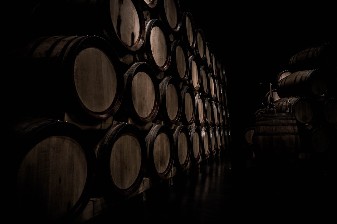 Photo vino
