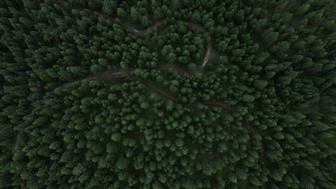 Photo livadă mixtă ecologică