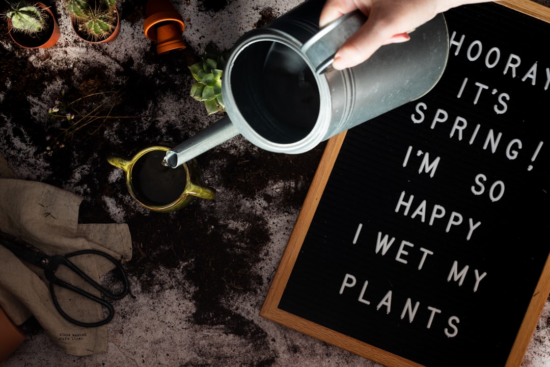 Photo plant vegetables that regenerate themselves