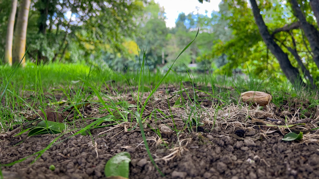 Photo compost fertilizer