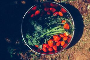 Photo compost for vegetables