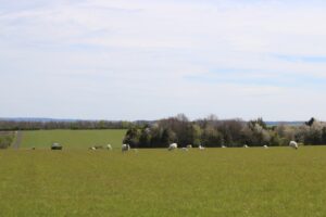 Photo intercropping