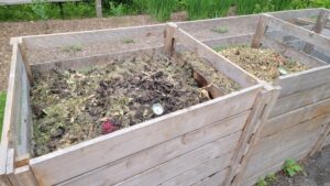 Photo compost