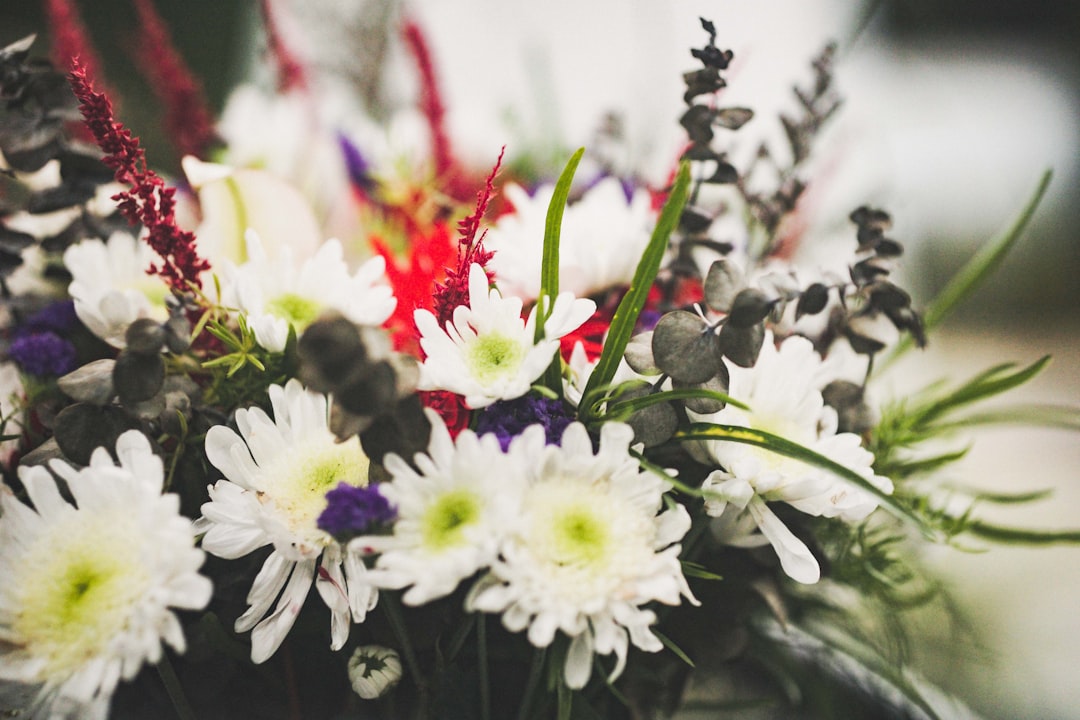 Photo floral decorations