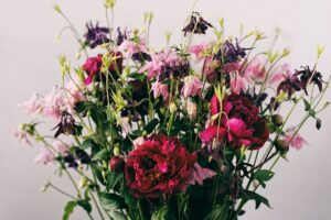 Photo birth month flowers