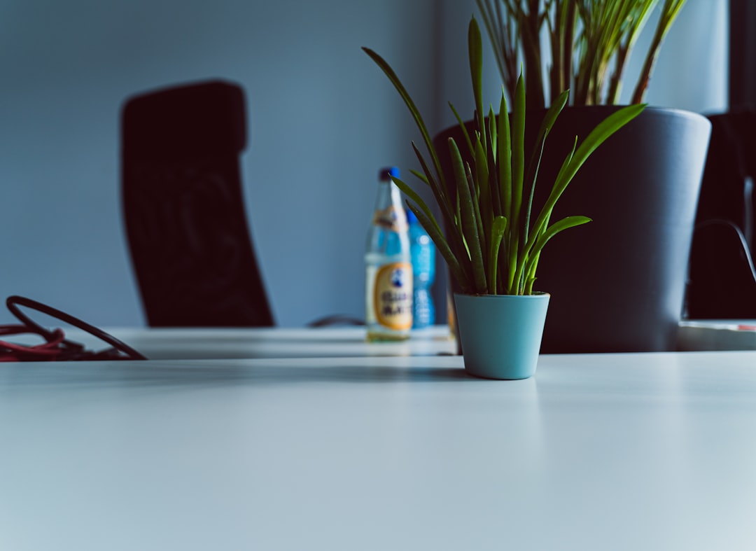 Photo choose office plants