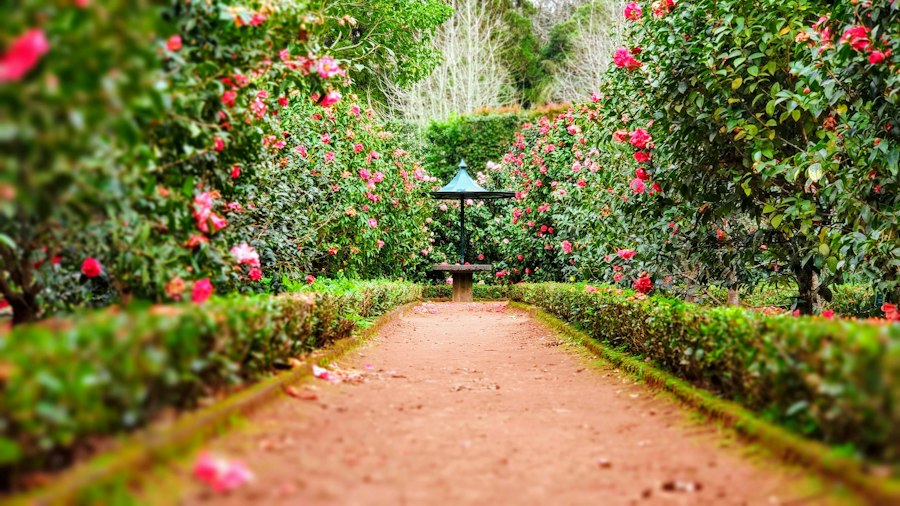 gardening