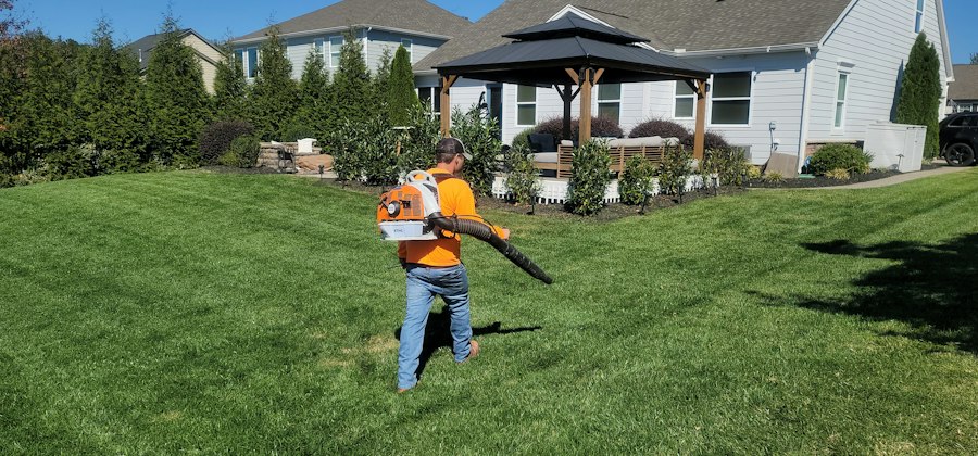landscaping