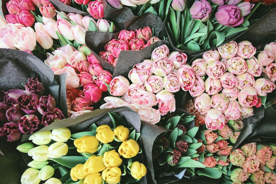 Photo cultivate seasonal flowers