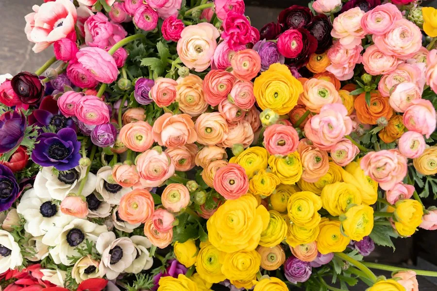 Photo seasonal flowers guide