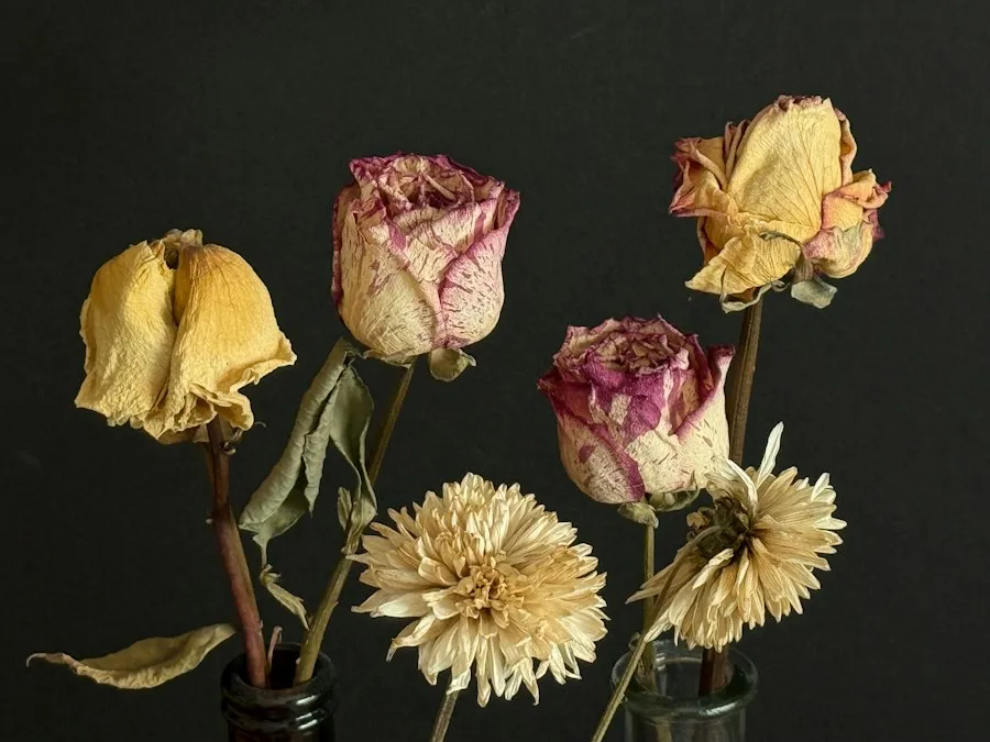 Photo dried flowers guide
