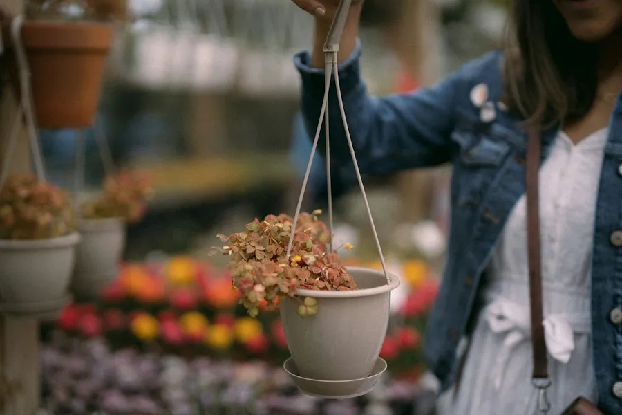 choosing the right flower pot