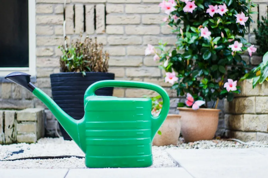 Photo proper plant watering guide