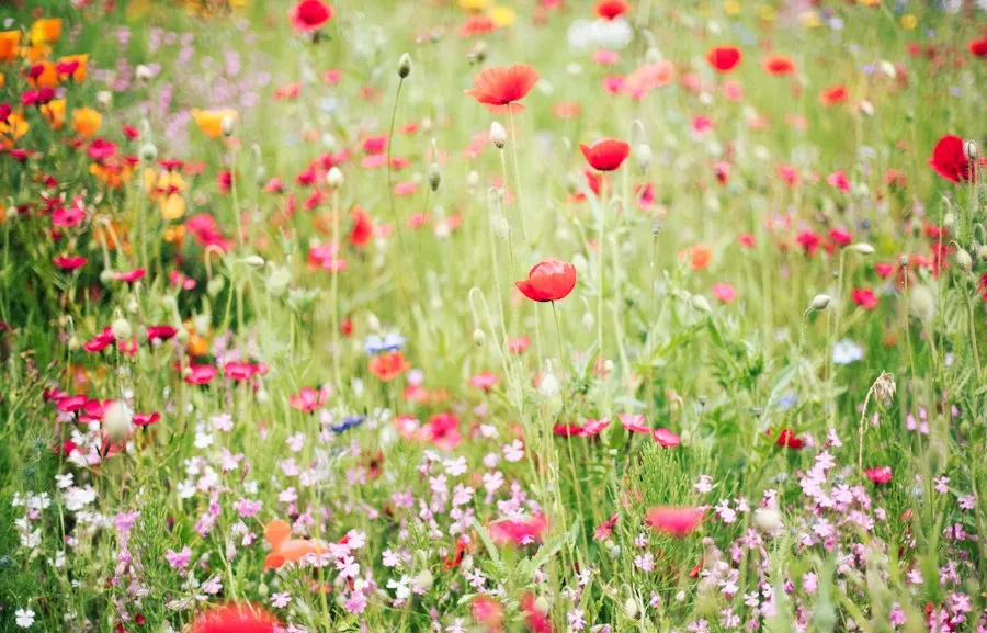 Photo common garden flower mistakes