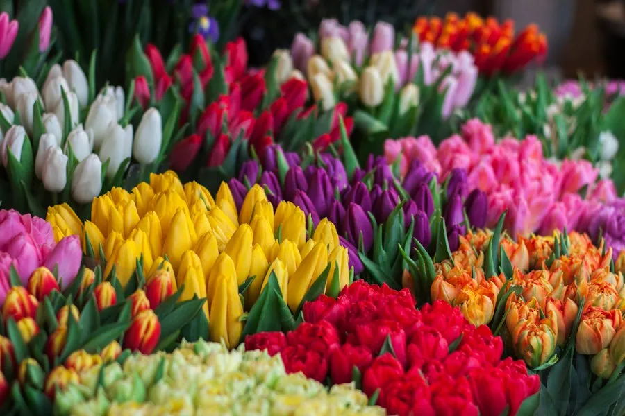 flower symbolism mistakes