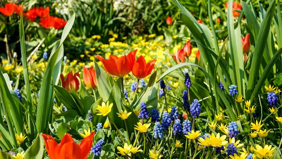 spring garden common mistakes