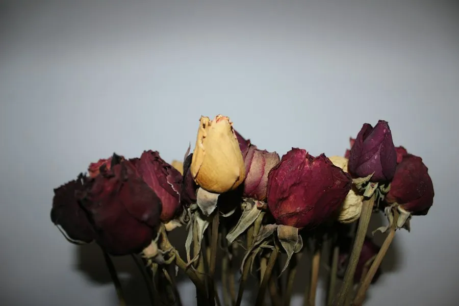 common mistakes dried flowers care